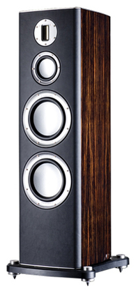 Акустическая система Monitor Audio Platinum PL300