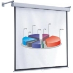 Экран настенный рулонный ScreenMedia Goldview (SGM-4306) 229x305см, Matte White