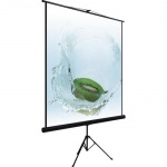 Экран переносной на штативе DINON Tripod (TRV240) 180x240см, Matte White