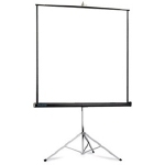 Экран переносной на штативе Projecta Picture King (10430035) 162х213см, Matte White S