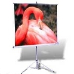 Экран переносной на штативе Projecta ProView (10430113) 178x178см, Matte White