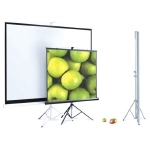 Экран переносной на штативе ScreenMedia Apollo (SAM-1106) 244x244см, Matte White