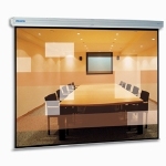 Экран с электроприводом Projecta Elpro Large Electrol (10100330) 378х500см, Matte White